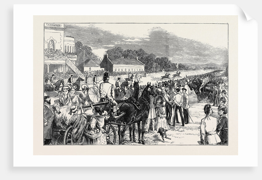 Camp Life at the Curragh: The Irish Derby, the Preparatory Gallop, August 1, 1874 by Anonymous