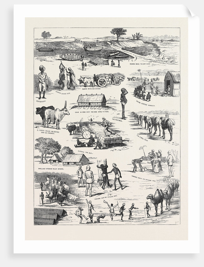 The Indian Famine, Sketches in the Affected Districts, by a Member of the Famine Relief Staff by Anonymous