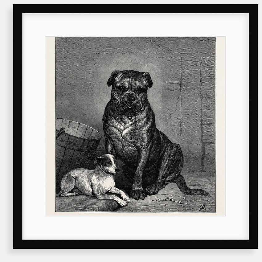 Beauty and the Beast, from the Drawing by John Charlton in the Black and White Exhibition by Anonymous