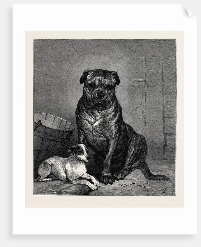 Beauty and the Beast, from the Drawing by John Charlton in the Black and White Exhibition by Anonymous