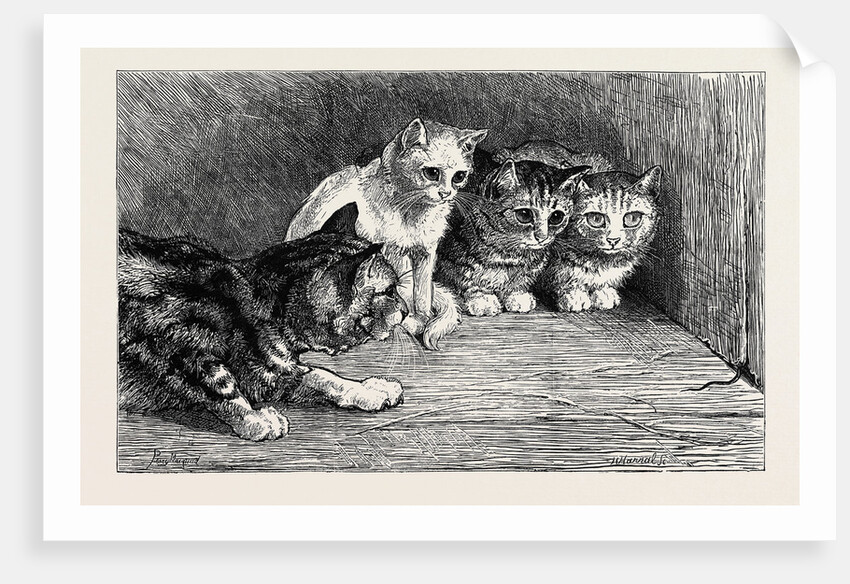 An Exciting Tail, from the Drawing by Percy Macquoid in the Black and White Exhibition by Anonymous