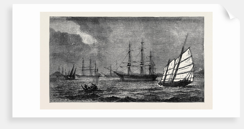 The Prohibition of Coolie Traffic by the Portuguese Government, American Clippers Used to Convey Coolies Lying Idle in Macao Roads by Anonymous