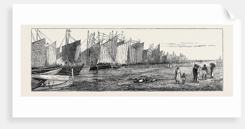 The Ceylon Pearl Fishery, Boats Preparing to Start by Anonymous