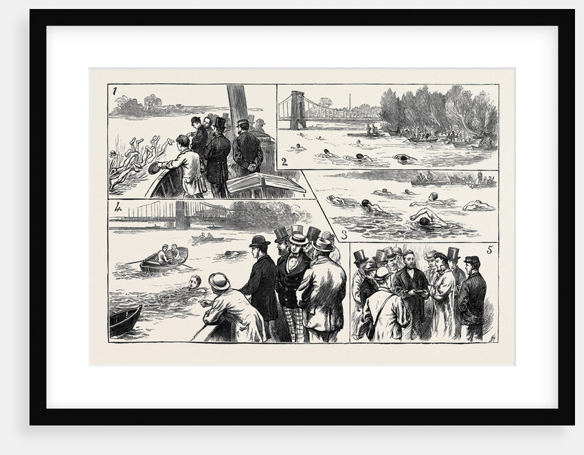 Swimming Match in the Thames for the Amateur Championship by Anonymous