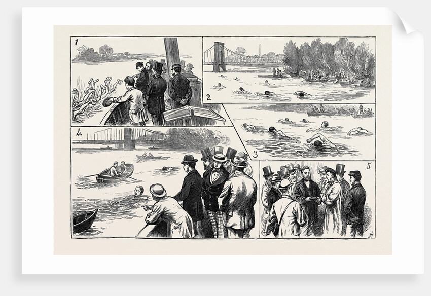 Swimming Match in the Thames for the Amateur Championship by Anonymous