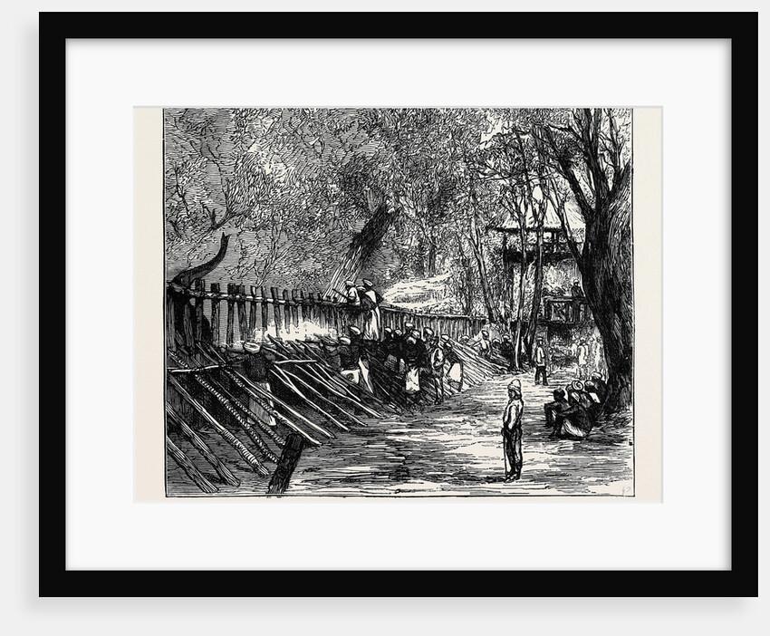 Elephant Hunting in Ceylon: Shooting Spare Elephants Through the Corral by Anonymous