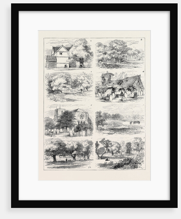 The Preservation of Epping Forest by Anonymous