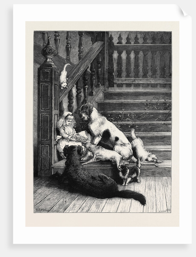 The Dogs' Christmas Dinner by Anonymous