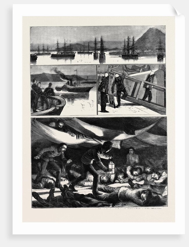 The Crisis in Egypt, the Voyage of H.M.S. Troopship Orontes by Anonymous
