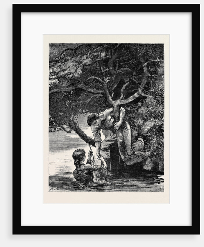Kit, a Memory; the Long Looked-for Branch. by Anonymous