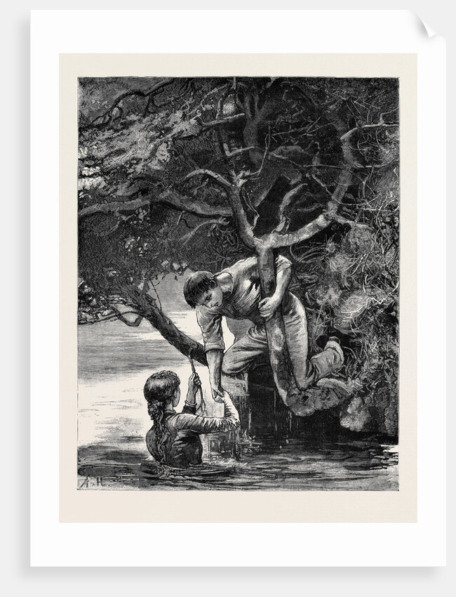Kit, a Memory; the Long Looked-for Branch. by Anonymous