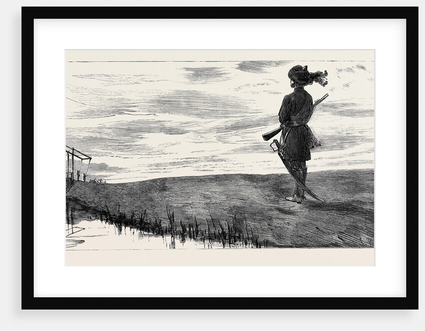 On Guard, a Sunset Sketch on the Canal Bank at Kassassin by Anonymous
