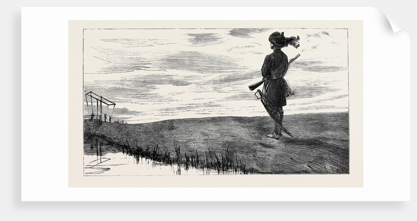 On Guard, a Sunset Sketch on the Canal Bank at Kassassin by Anonymous