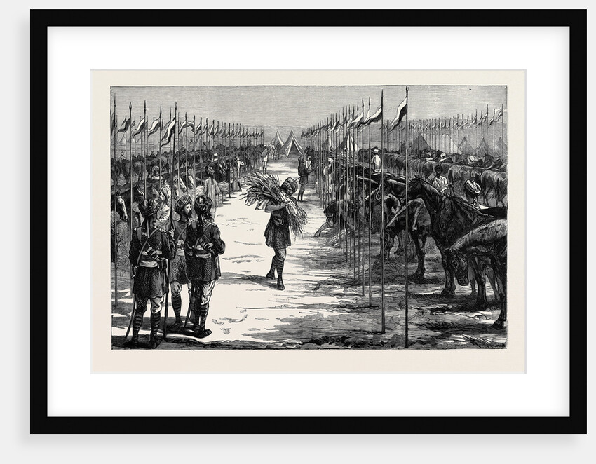 With the Indian Contingent in Egypt: A Camp of the Thirteenth Bengal Lancers by Anonymous