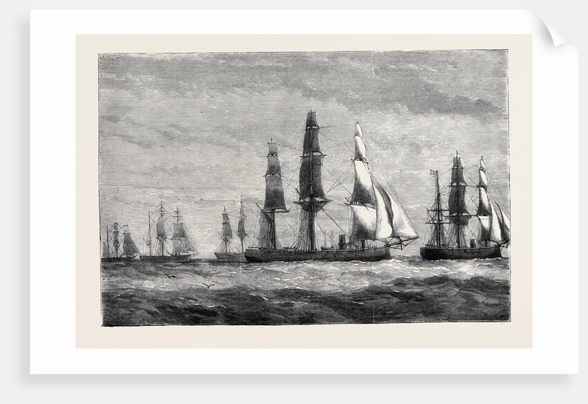 The Cruise of the Pacific Squadron, Dining Out by Anonymous