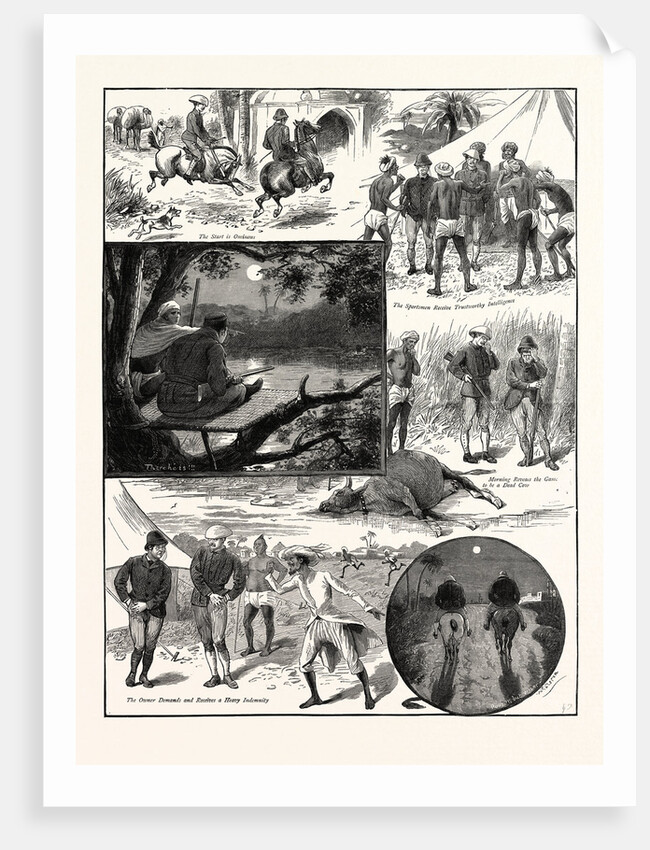 The Man-Eating Tiger of Junglepoor by Anonymous