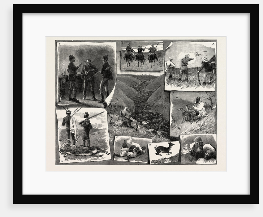 Buck Hunting at the Cape by Anonymous