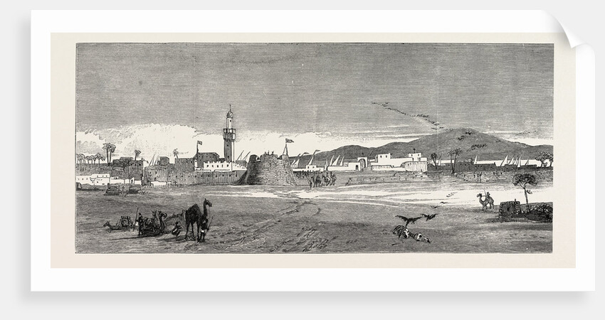 The Rebellion in the Soudan: Berber from the Desert or East Side by Anonymous