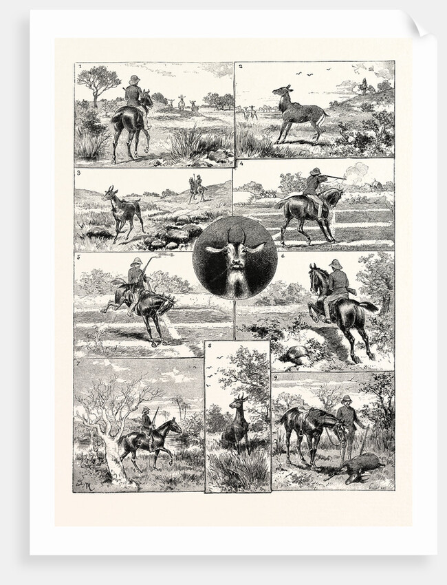 A Nylghau Hunt in India by Anonymous