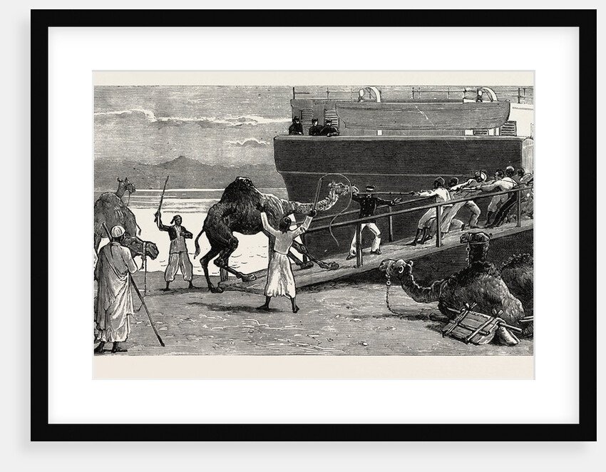 The Rebellion in the Soudan: Shipping Camels at Suez for Suakim by Anonymous
