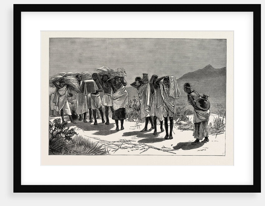 With Admiral Sir W. Hewett's Embassy to King John of Abyssinia: Abyssinian Hospitality-Supplies Coming in by Anonymous