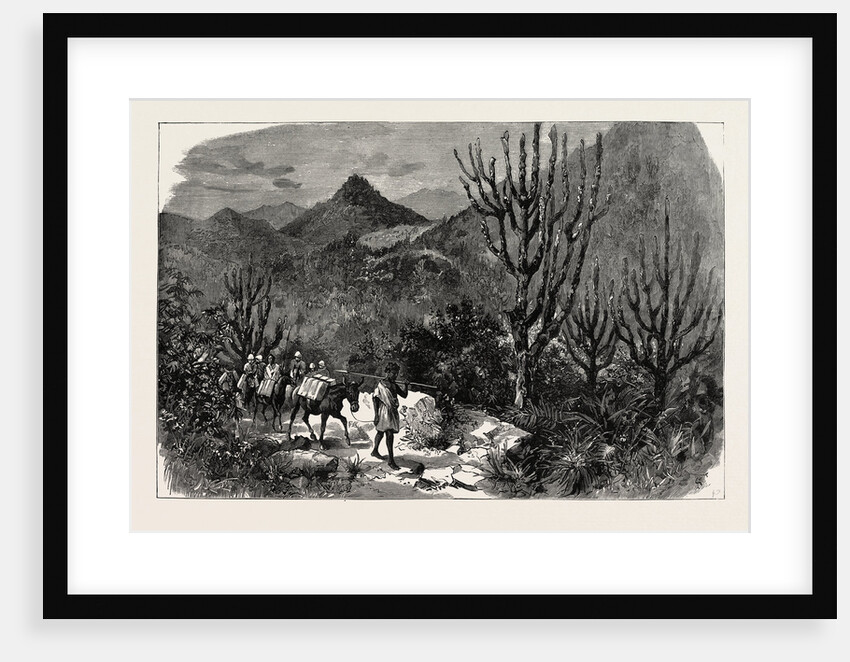 With Admiral Sir W. Hewett's Embassy to King John of Abyssinia: A Glimpse from the Maiensi Pass by Anonymous