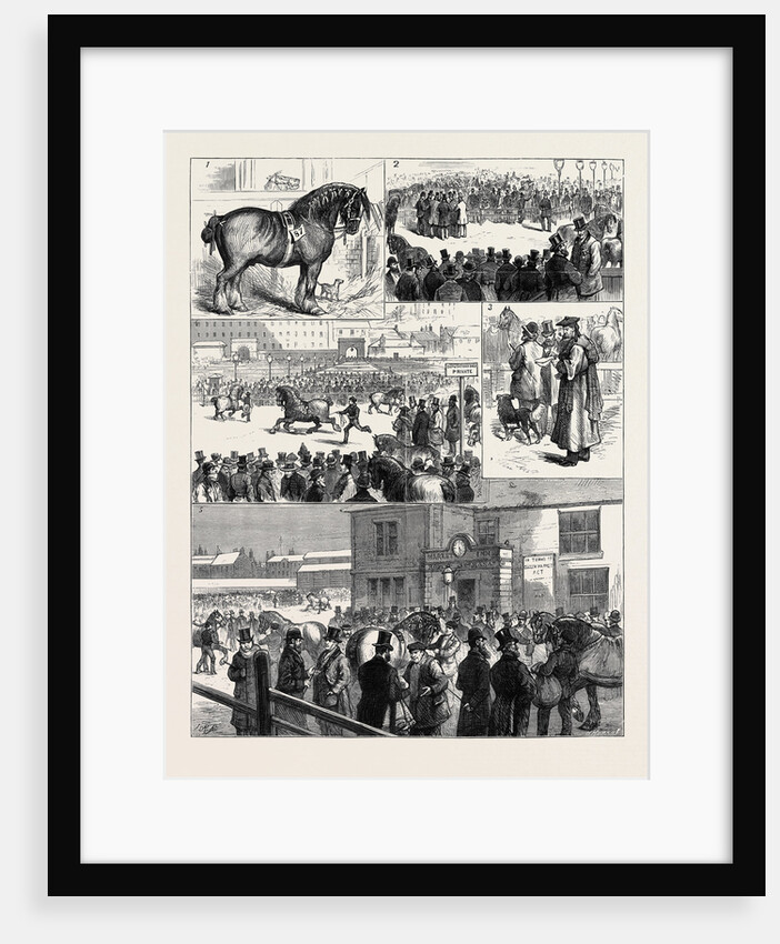 The Annual Stallion Show of the Glasgow Agricultural Society by Anonymous