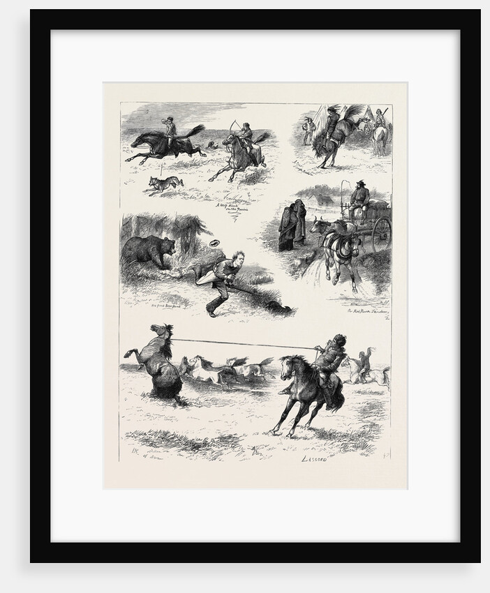 Life in Manitoba, British North America by Anonymous