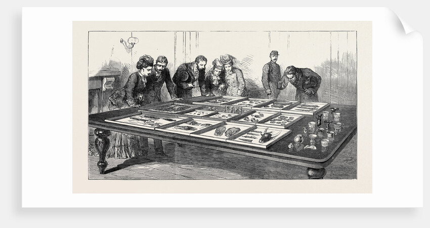 Exhibition at Athens of the Mycenae Treasures Discovered by Dr. Schliemann by Anonymous