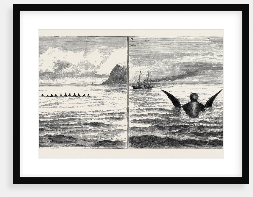 The Sea Serpent in the Mediterranean, a Sketch from H.M. Yacht Osborne Off the North Coast of Sicily on the Second of June by Anonymous