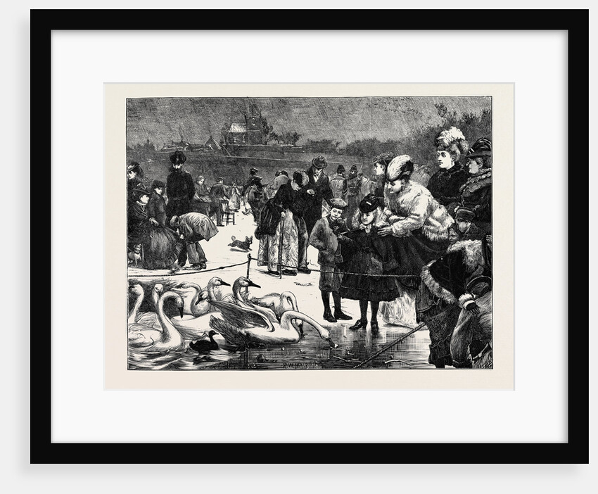 Frozen in, 1870 by Anonymous