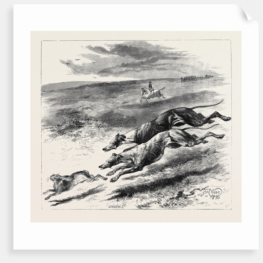 Coursing, 1870 by Anonymous