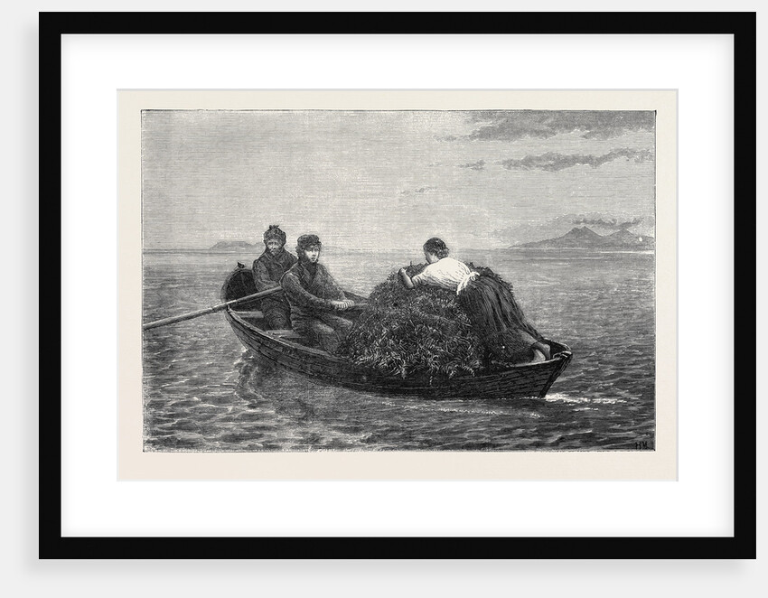 The Bracken Boat, 1870 by Anonymous