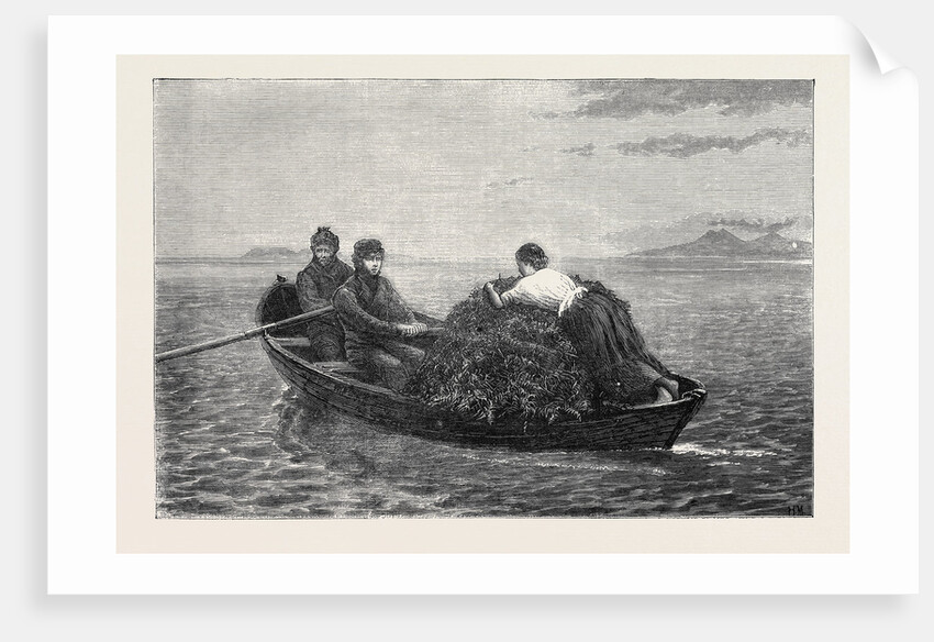 The Bracken Boat, 1870 by Anonymous