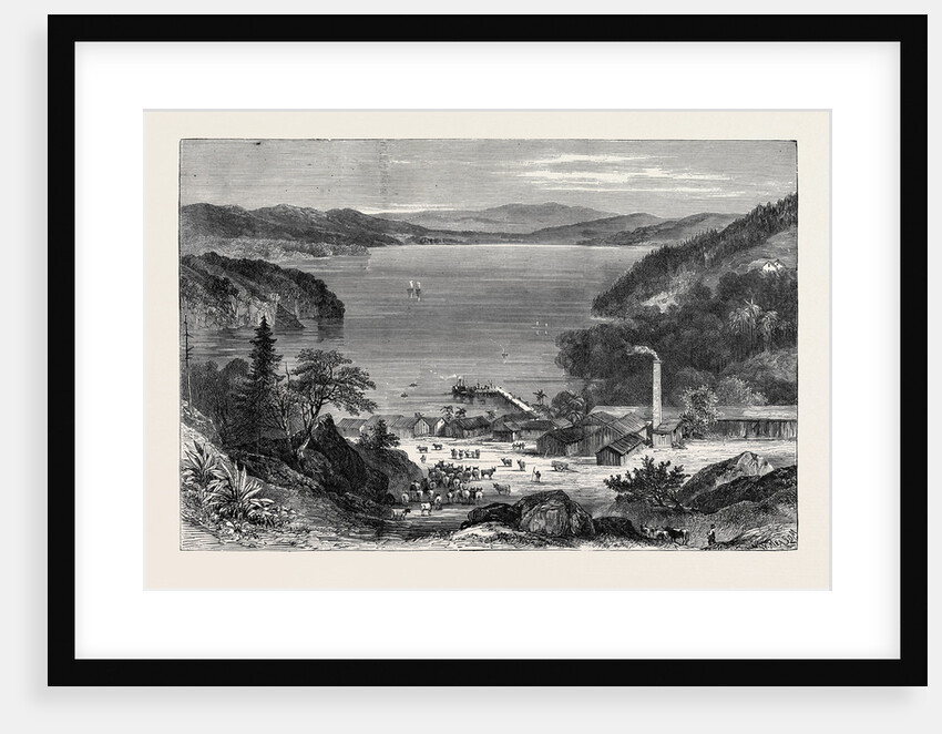 Australian Meat Curing Establishment, Lake Broadwater, 1870 by Anonymous