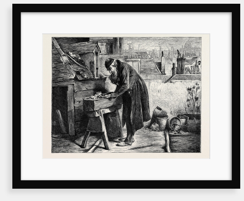 A London Garden, 1870 by Anonymous