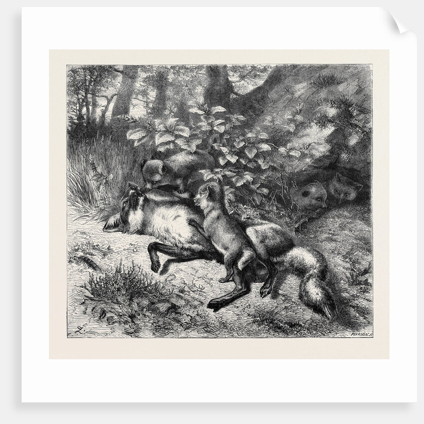 After Breakfast, from a Picture by J.B. Zwecker in the Old Bona Street Gallery, 1870 by Anonymous