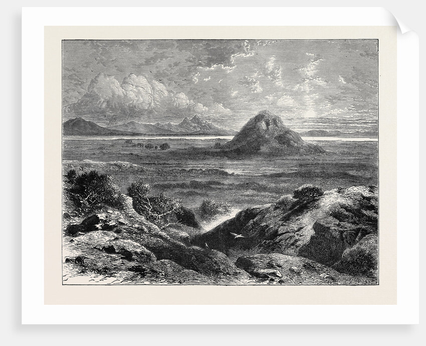 Scene of the Recent Greek Massacre at Marathon, 1870 by Anonymous