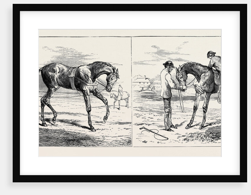The Training of a Racehorse: Breaking the Yearling; Backing the Yearling, 1870 by Anonymous
