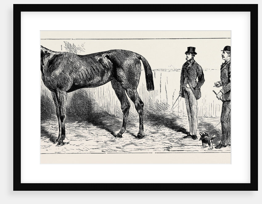 The Training of a Racehorse: At Home in the Stable, 1870 by Anonymous