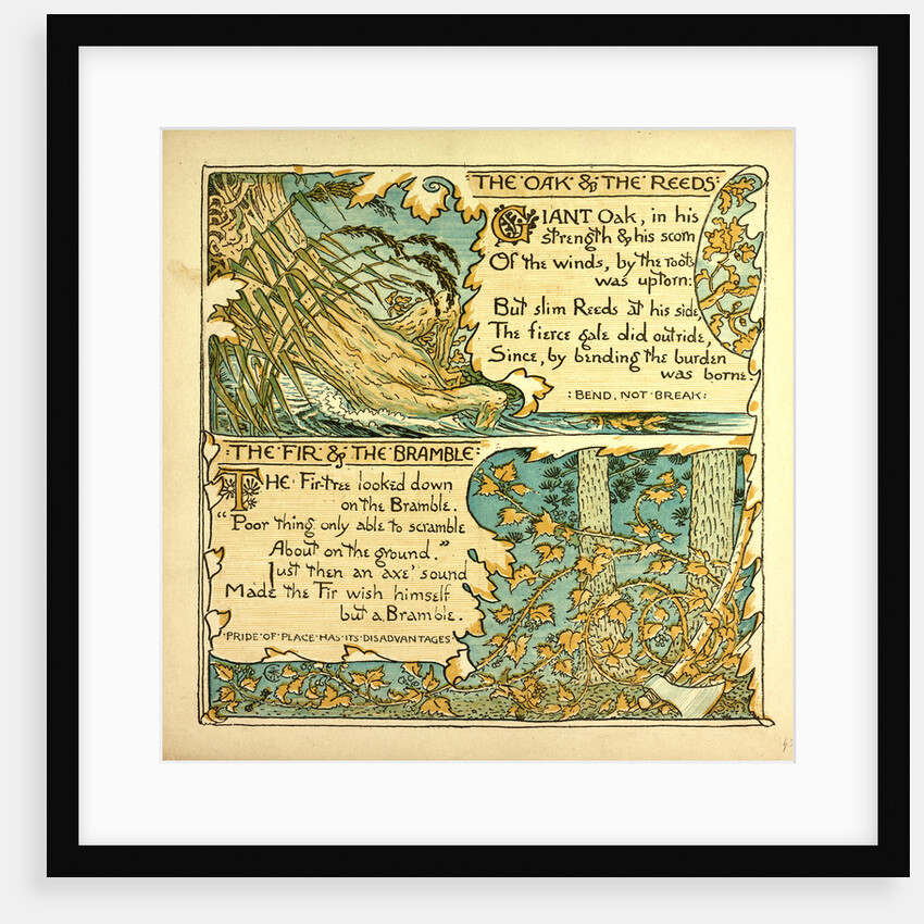 The Oak and the Reeds the Fir and the Bramble by Anonymous