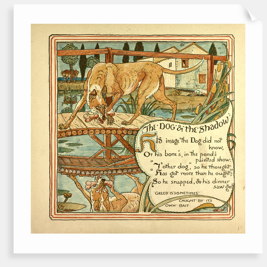 The Dog and the Shadow by Anonymous