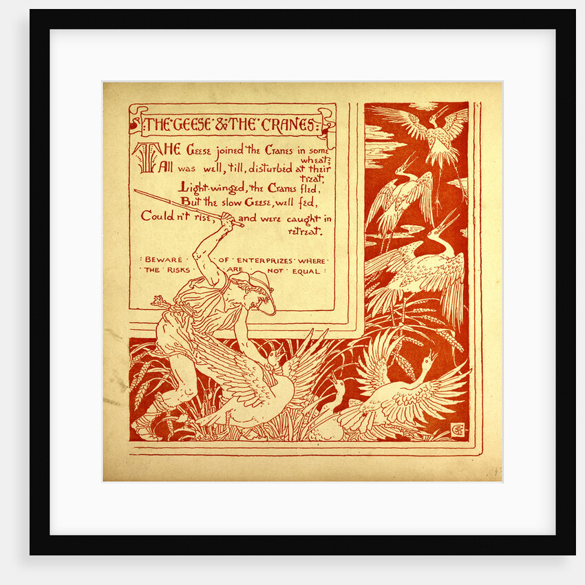 The Geese and the Cranes by Anonymous