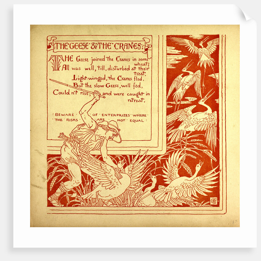 The Geese and the Cranes by Anonymous