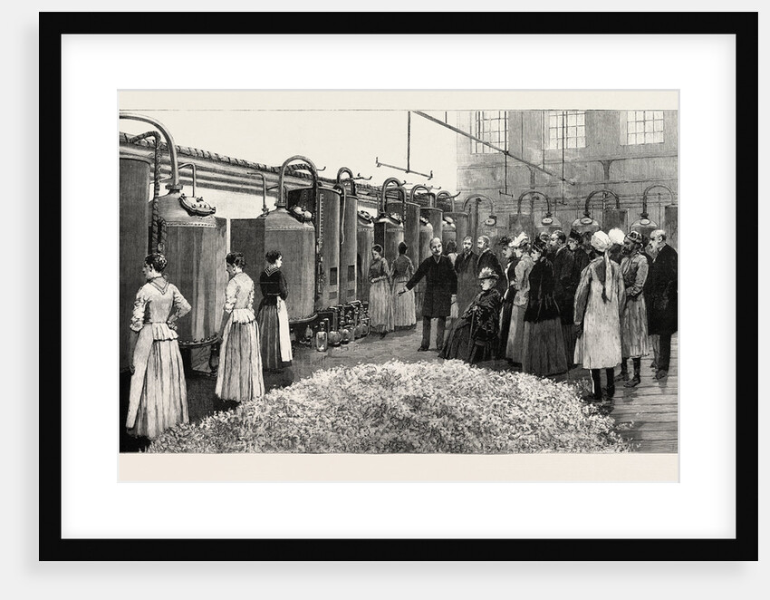 The Queen at Grasse: M. Chiris Explaining the Distilling Process. by Anonymous