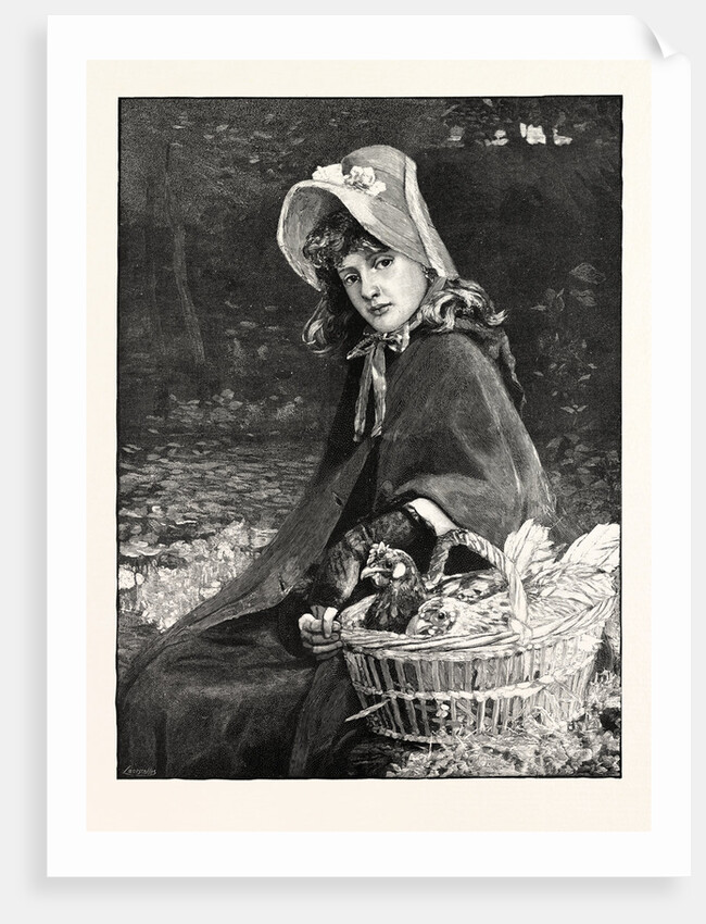 Chickens by Anonymous