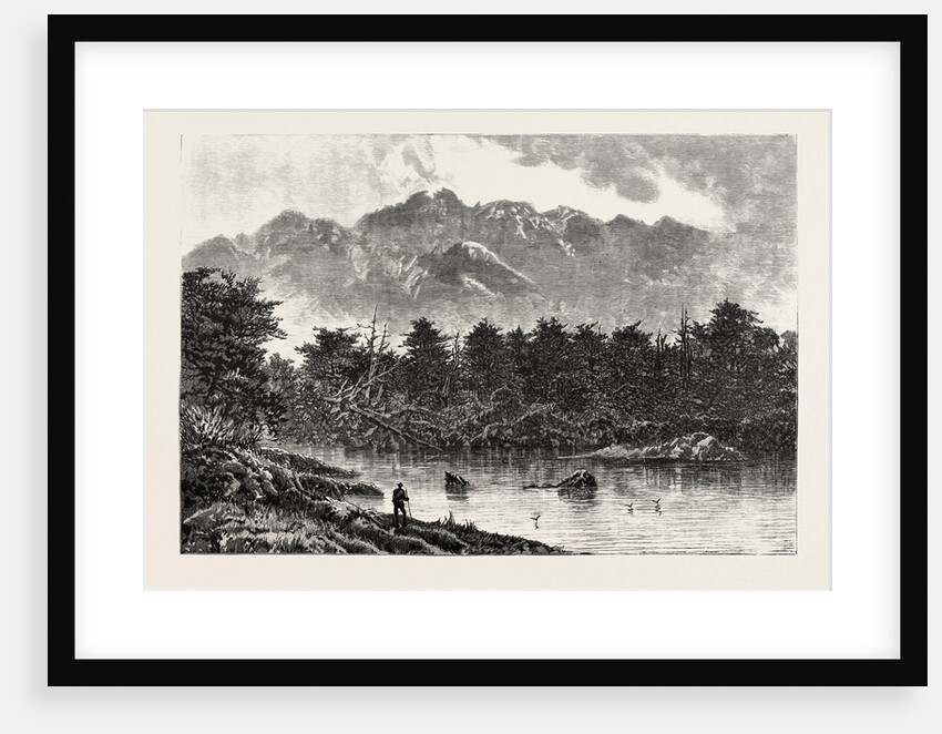 Te Anau One of the New Zealand Lakes: Mount Oilé from Botanist Bay by Anonymous