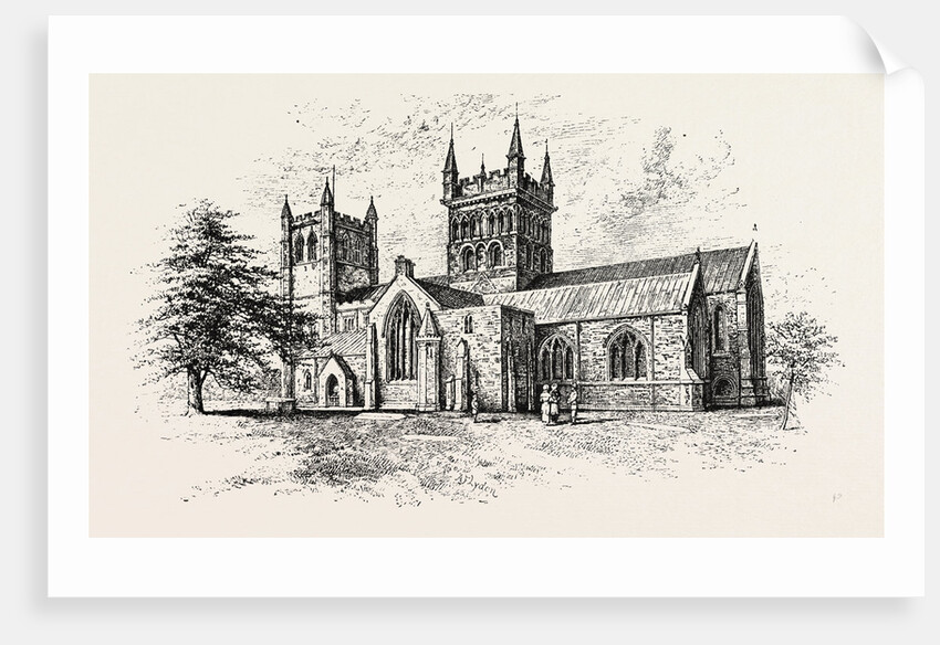 Wimborne Minster: View from the South East by Anonymous