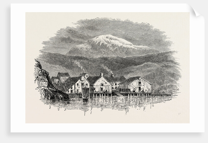 A Part of Christiansund Harbour by Anonymous