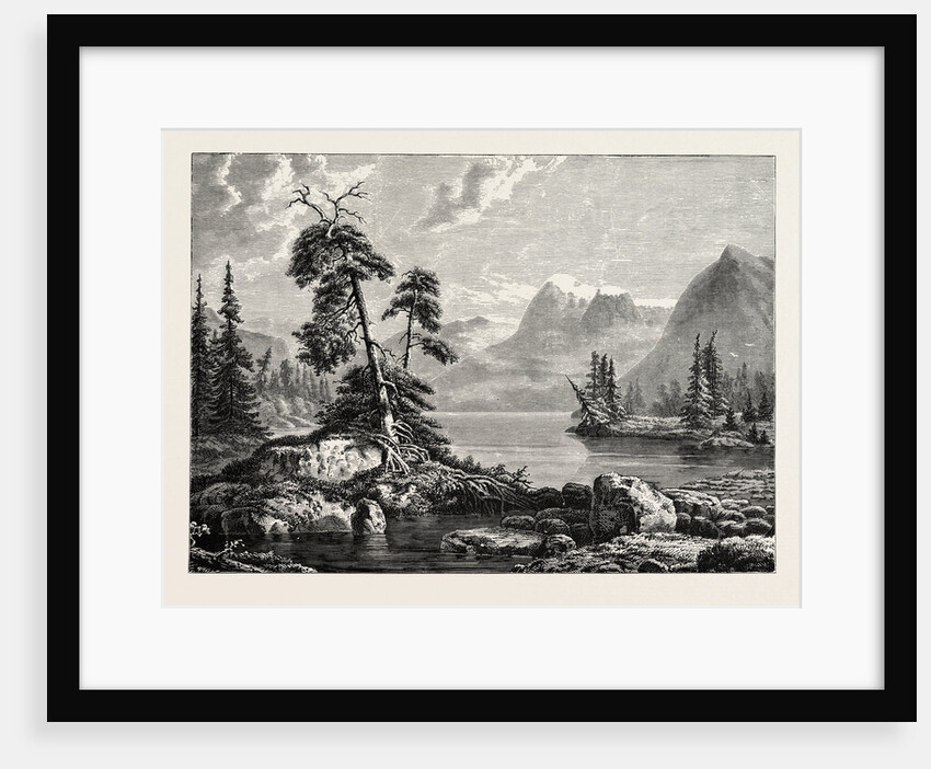 A View on the Hardanger Fjord by Anonymous